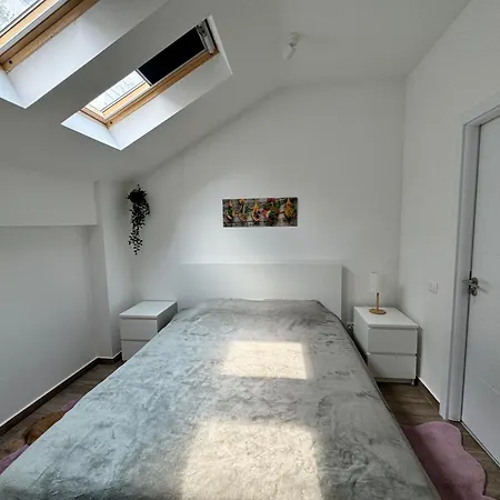 Appartement Palkin Cozy *