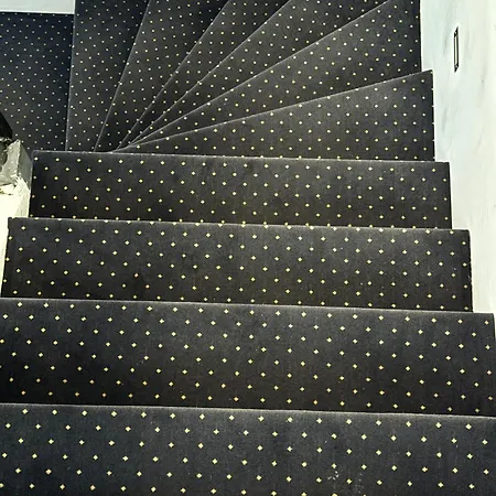 Palkin Cozy Белград