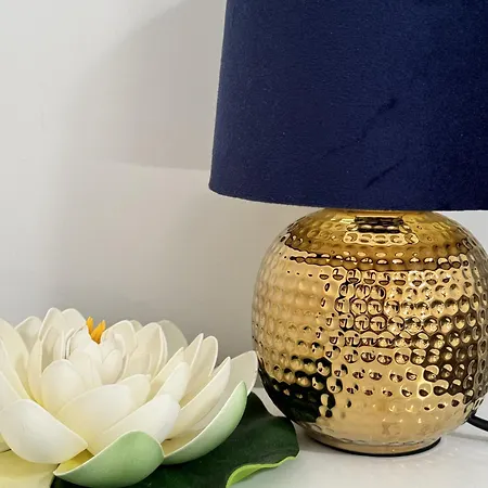 Palkin Cozy Белград